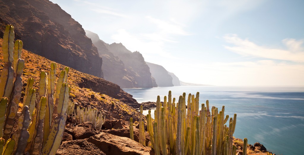 https---ns.clubmed.com-fbs-RWD-CM2-CM2C_H119_GettyImages_Tenerife-swhr
